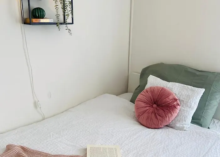 Cozy On The Roof, Next To Incheba Expo *